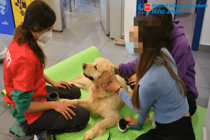 Éxito en la terapia asistida con animales en Alcorcón
