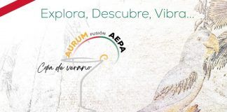 Vuelve la Copa de Verano de AEPA en Alcorcón