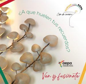 Vuelve la Copa de Verano de AEPA en Alcorcón