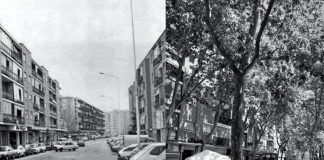 La Calle Mayor de Alcorcón: 38 años de historia