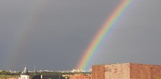 Desde mi Colmena en Alcorcón: Propiedades de la luz