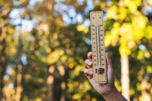 Vuelven las temperaturas extremas a Alcorcón