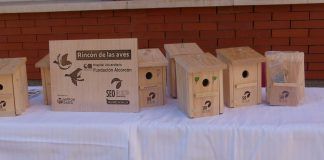 Pacientes del Hospital Fundación de Alcorcón realizan talleres para promover la biodiversidad
