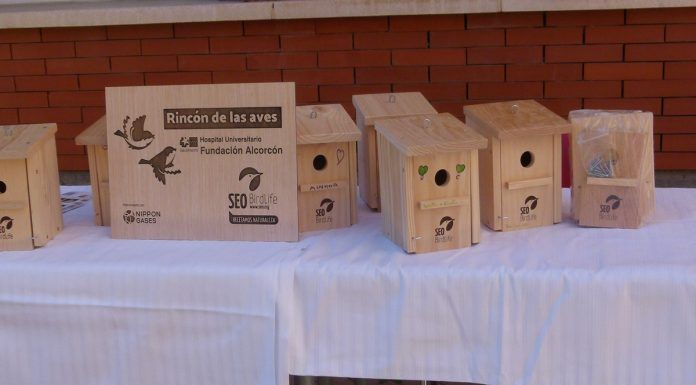 Pacientes del Hospital Fundación de Alcorcón realizan talleres para promover la biodiversidad