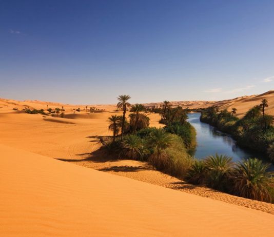 Apuntes desde Alcorcón: Fabricarse un oasis