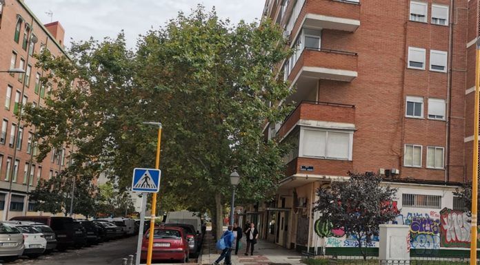 Alcorcón mejorará la iluminación y visibilidad de los pasos de cebra