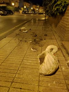 Un grupo de menores ocasiona desperfectos en las calles de Alcorcón