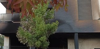 Así ha sido la declaración ante el juez de los cinco obreros investigados por el mortal incendio de la Calle Oslo 45 de Alcorcón