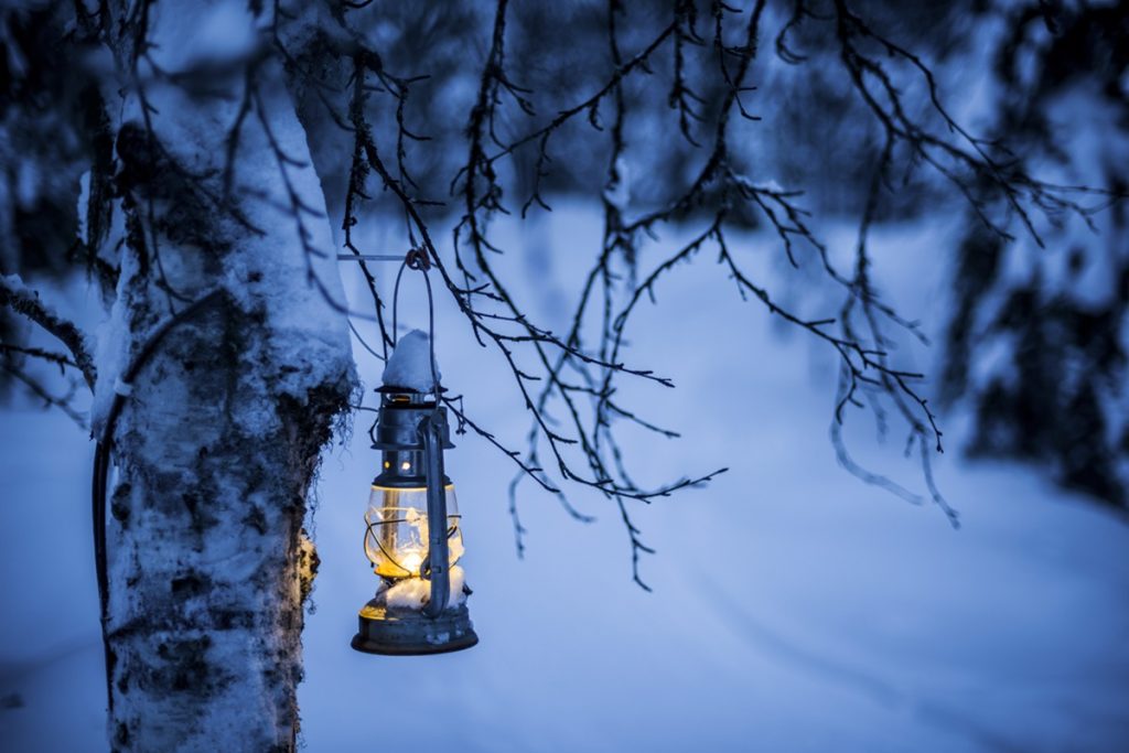 Un Bosque Mágico para celebrar la Navidad en familia en Alcorcón