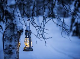 Un Bosque Mágico para celebrar la Navidad en familia en Alcorcón