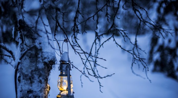 Un Bosque Mágico para celebrar la Navidad en familia en Alcorcón Un Bosque Mágico para celebrar la Navidad en familia en Alcorcón