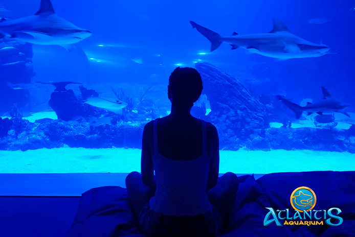 Atlantis Aquarium Madrid