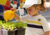 La Escuela Infantil del Colegio Villalkor de Alcorcón celebra su jornada de puertas abiertas