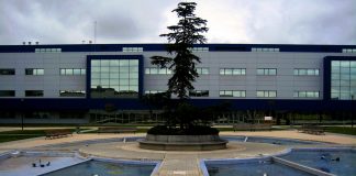 Proyecto de la URJC con perros para reducir el estrés de los alumnos de Alcorcón