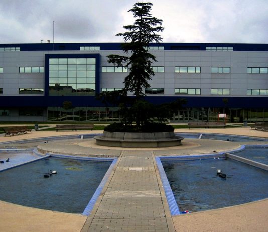 Proyecto de la URJC con perros para reducir el estrés de los alumnos de Alcorcón