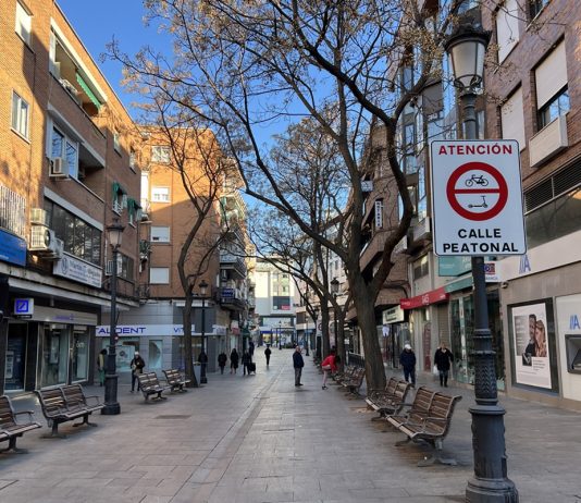 Vox asegura que 'Alcorcón Central' no llegará si ellos gobiernan