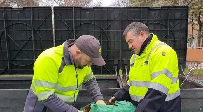 ESMASA inicia un proceso de inclusión laboral en Alcorcón