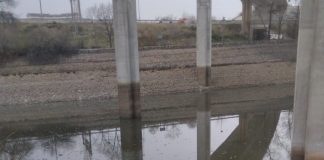 Limpian un estanque de Alcorcón en el que aparecieron cientos de peces muertos
