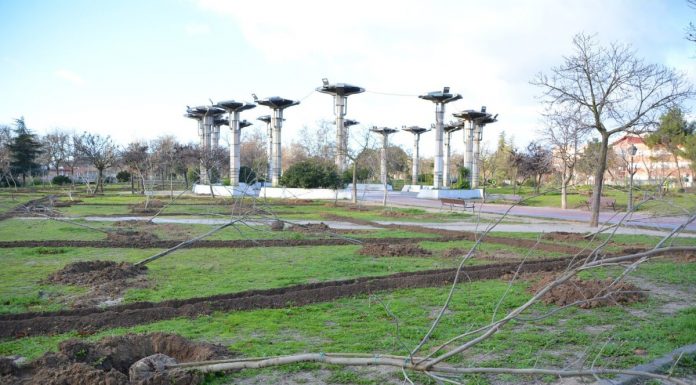 El Ayuntamiento de Alcorcón ha plantado 3169 arboles esta legislatura