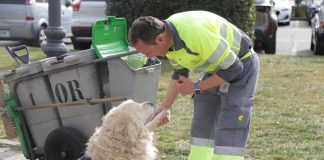 El IMEPE de Alcorcón repartirá un distintivo a comercios que sean «Petfriendly»