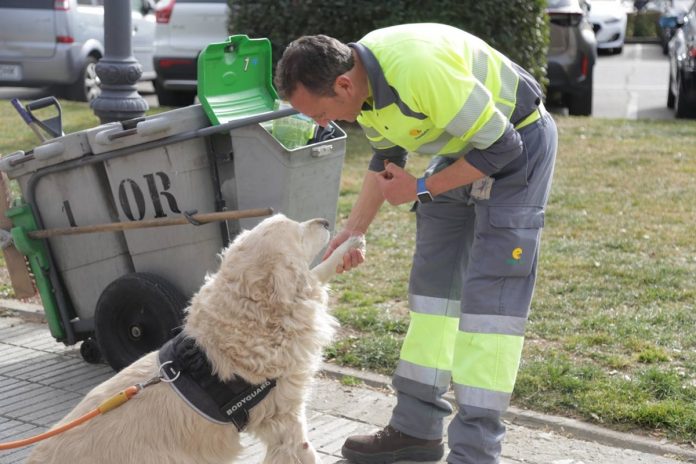 El IMEPE de Alcorcón repartirá un distintivo a comercios que sean «Petfriendly»