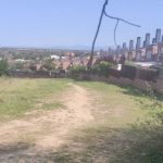 rastrojos-parque-coimbra-copy-0