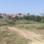 rastrojos-parque-coimbra-copy-1