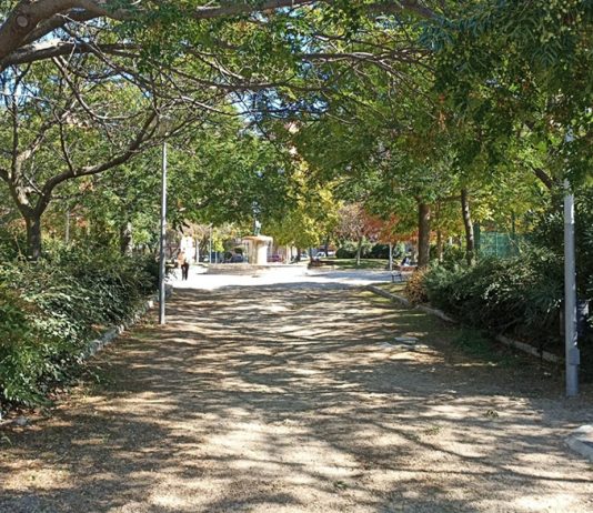 Los vecinos de Alcorcón ya pueden leer la edición de julio del periódico de alcorconhoy.com Los vecinos de Alcorcón ya pueden leer la edición de julio del periódico de alcorconhoy.com