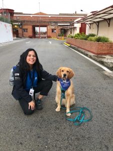 El proyecto de intervención asistida con animales de la URJC de Alcorcón llega a Colombia