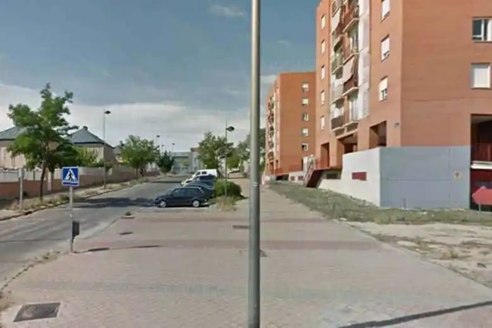 Los vecinos denuncian una plaga de ratas en Alcorcón