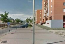 Más Madrid Alcorcón niega un problema con las ratas y lo califica de "puntual"