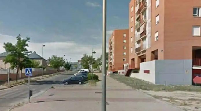 Más Madrid Alcorcón niega un problema con las ratas y lo califica de "puntual"