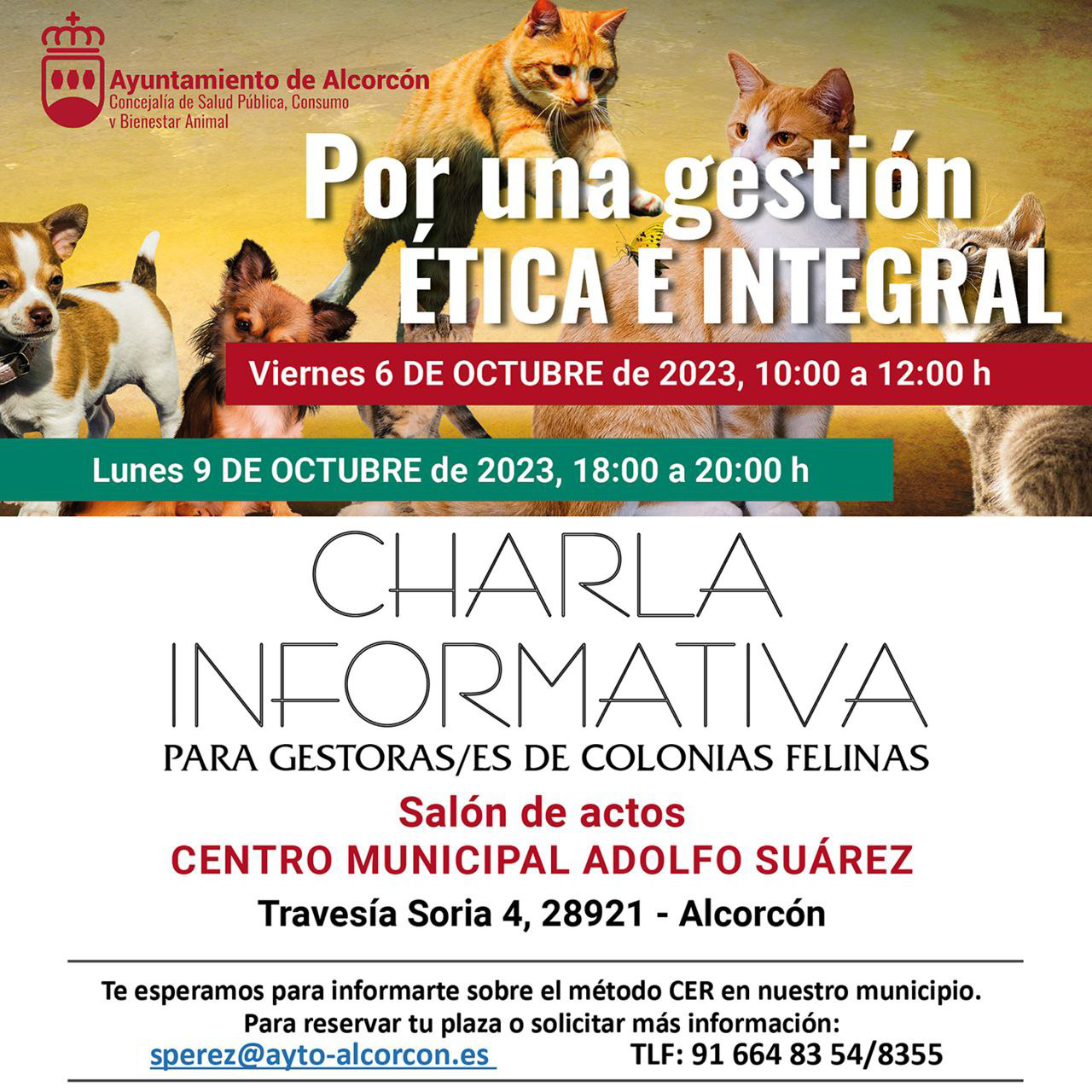 Abiertas las inscripciones para la charla informativa a gestores de colonias felinas en Alcorcón