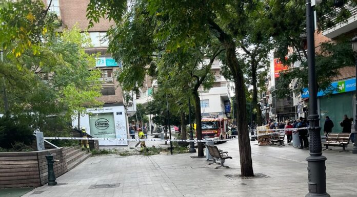 La caída de un árbol causa cuatro heridos leves en Alcorcón