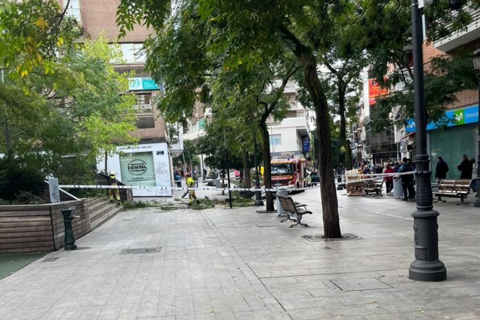 La caída de un árbol causa cuatro heridos leves en Alcorcón