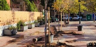 Alcorcón continúa 'Plantando vida' con una nueva campaña masiva