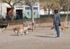 Denunciada la aparición de comida con alfileres en el pipican de la Plaza del Brasil en Alcorcón