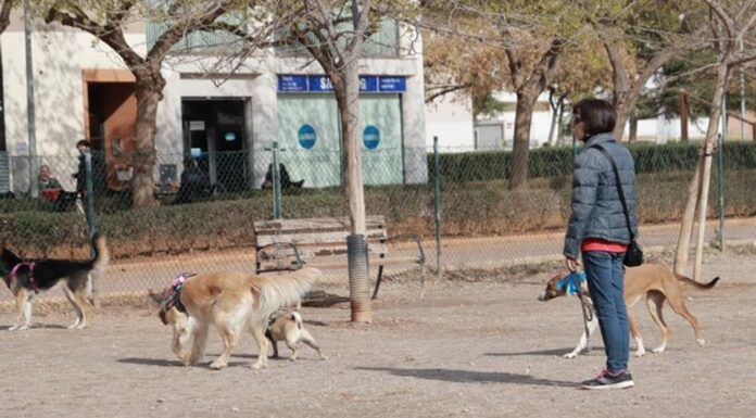 Denunciada la aparición de comida con alfileres en el pipican de la Plaza del Brasil en Alcorcón
