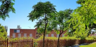 Alcorcón aprueba la aportación anual al Centro Asociado a la UNED Madrid Sur