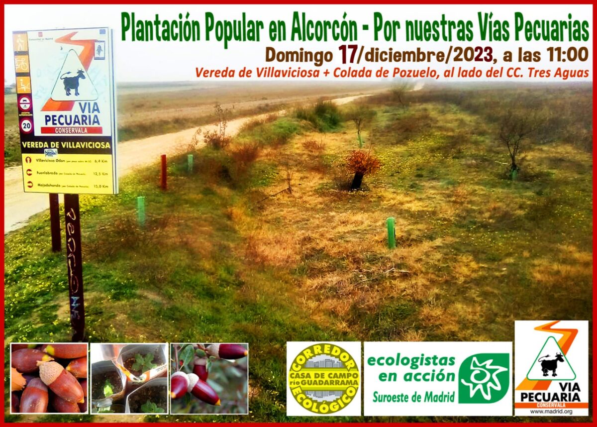 Convocada una plantación popular en Alcorcón en defensa de las vías pecuarias