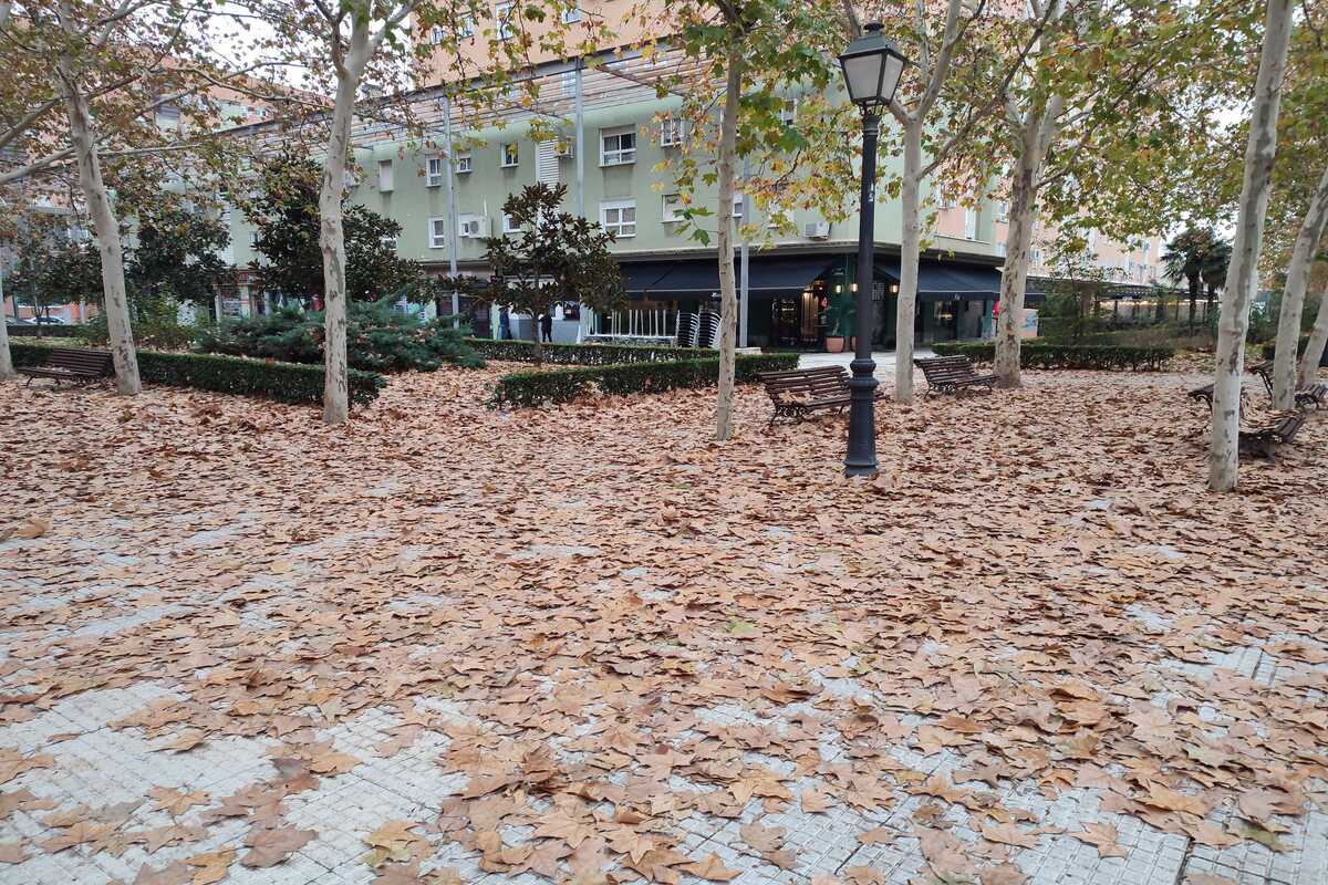 Vecinos de Alcorcón denuncian la falta de limpieza en las calles de la ciudad