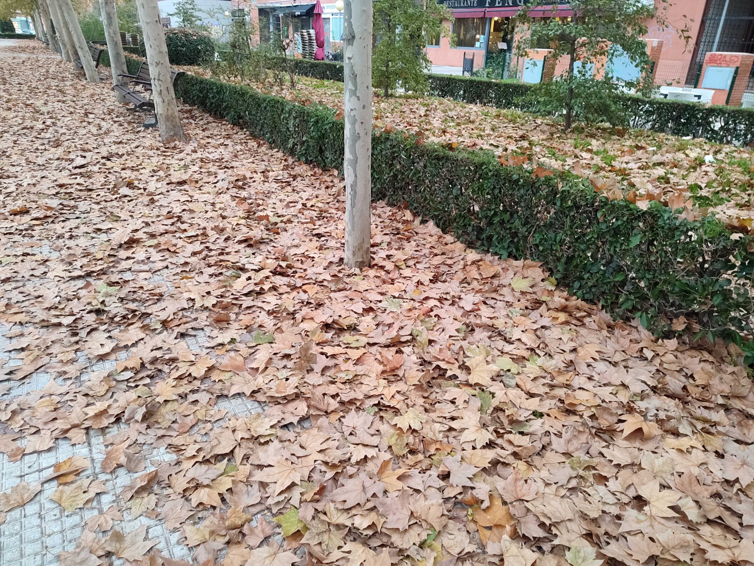 Vecinos de Alcorcón denuncian la falta de limpieza en las calles de la ciudad