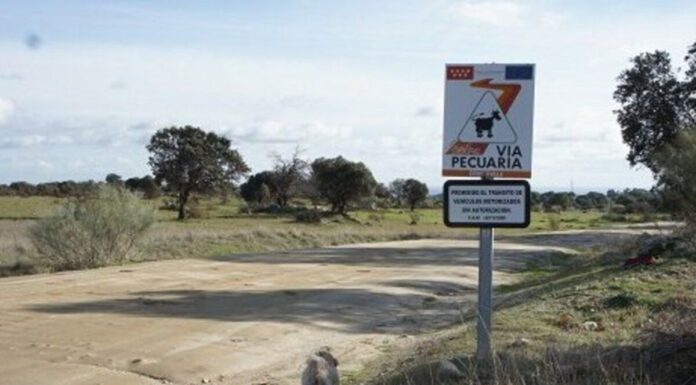 Convocada una plantación popular en Alcorcón en defensa de las vías pecuarias