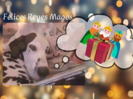 Desde mi Colmena en Alcorcón: Carta a los Reyes Magos Desde mi Colmena en Alcorcón: Carta a los Reyes Magos