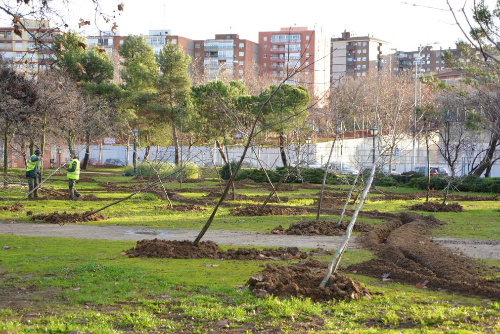 Plantados más de 500 árboles en Alcorcón como parte de la campaña 'Plantando Vida'