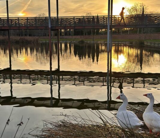 El mejor atardecer de Alcorcón