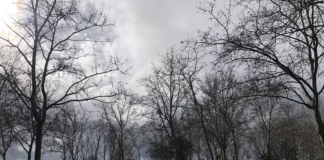 Activada la alerta por frío este sábado en Alcorcón y el resto de la región