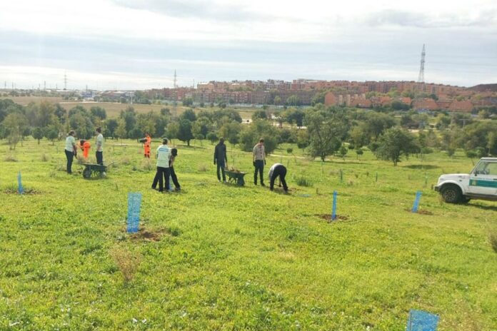 Plantados más de 500 árboles en Alcorcón como parte de la campaña 'Plantando Vida'