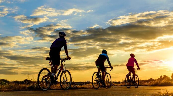 Mantén tu Bicicleta en Óptimas Condiciones