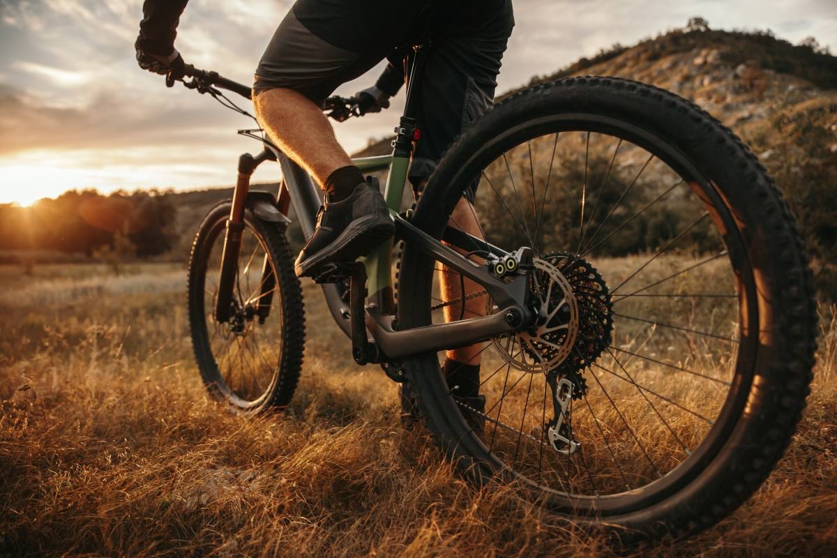 Mantén tu Bicicleta en Óptimas Condiciones